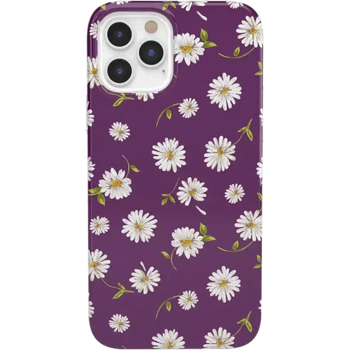 shopcaselyus.com