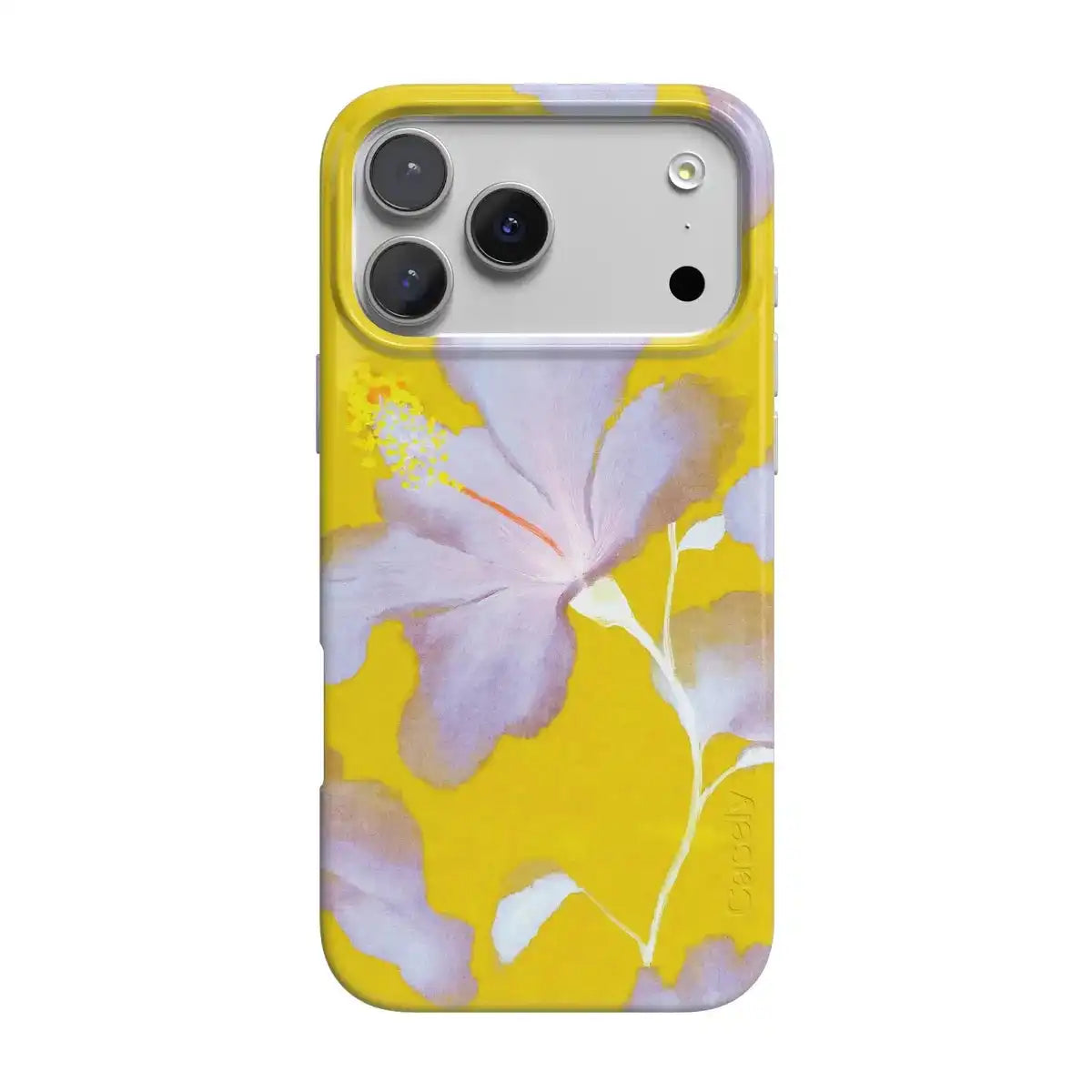 shopcaselyus.com