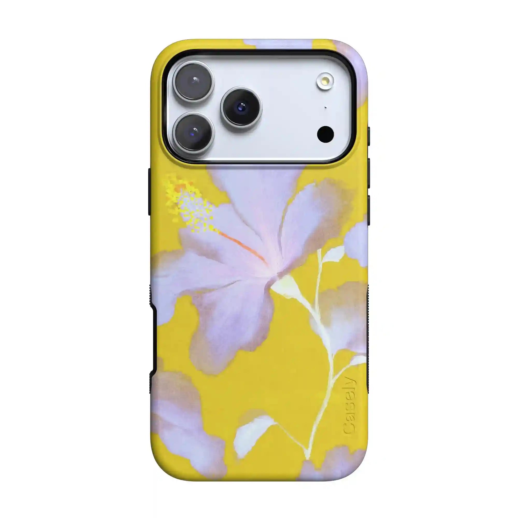 shopcaselyus.com