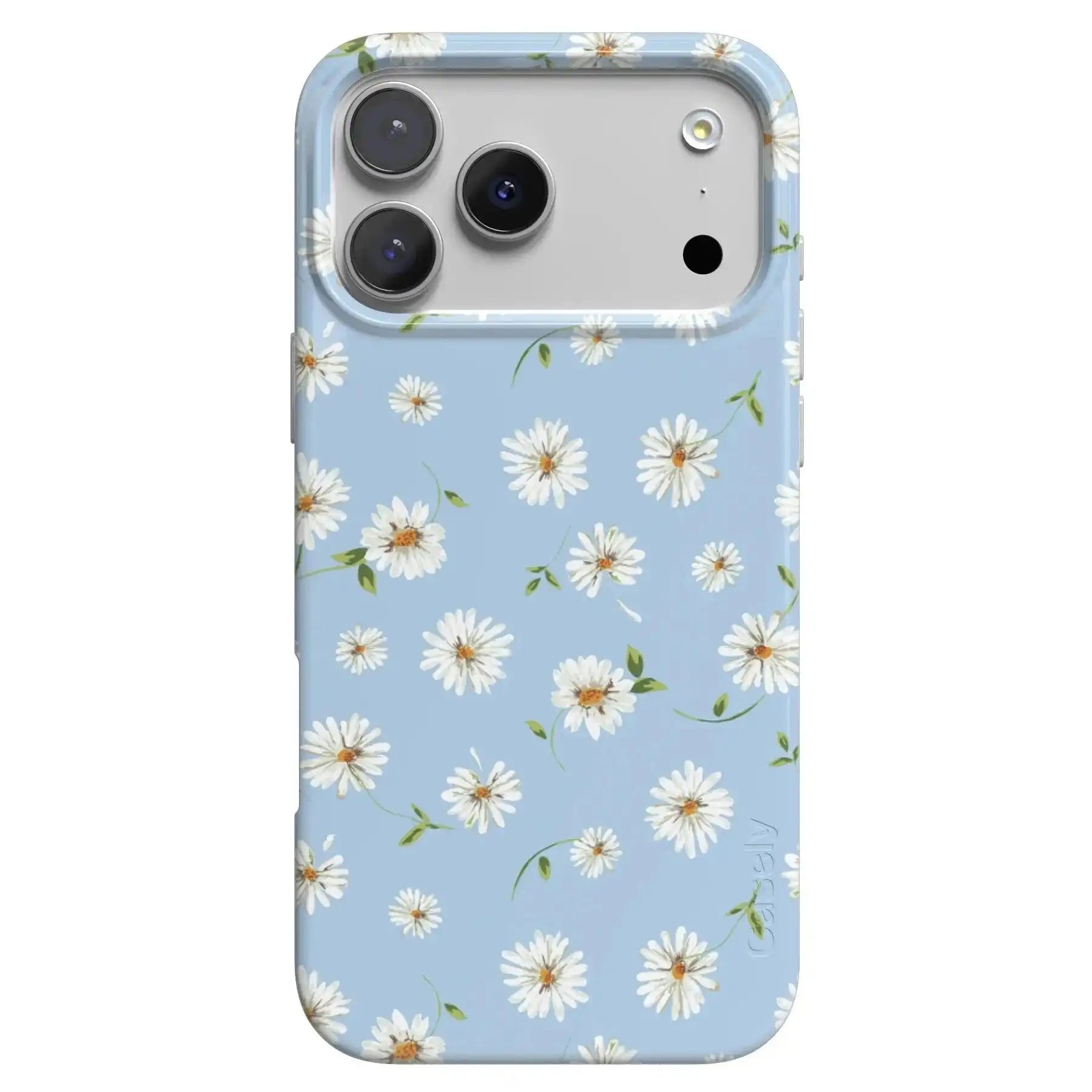 shopcaselyus.com